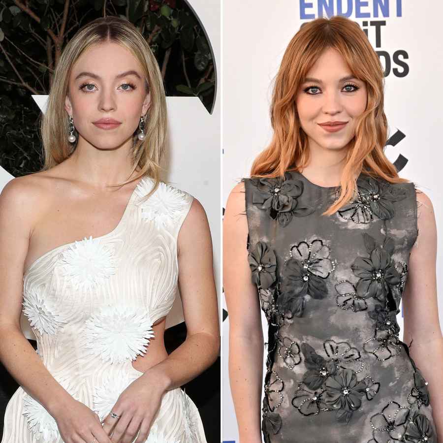 Sydney Sweeney Celebrity Hair Transformations of 2022