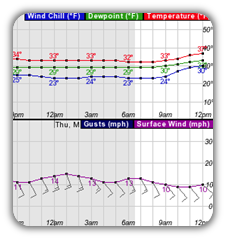 Hourly Forecast Tables