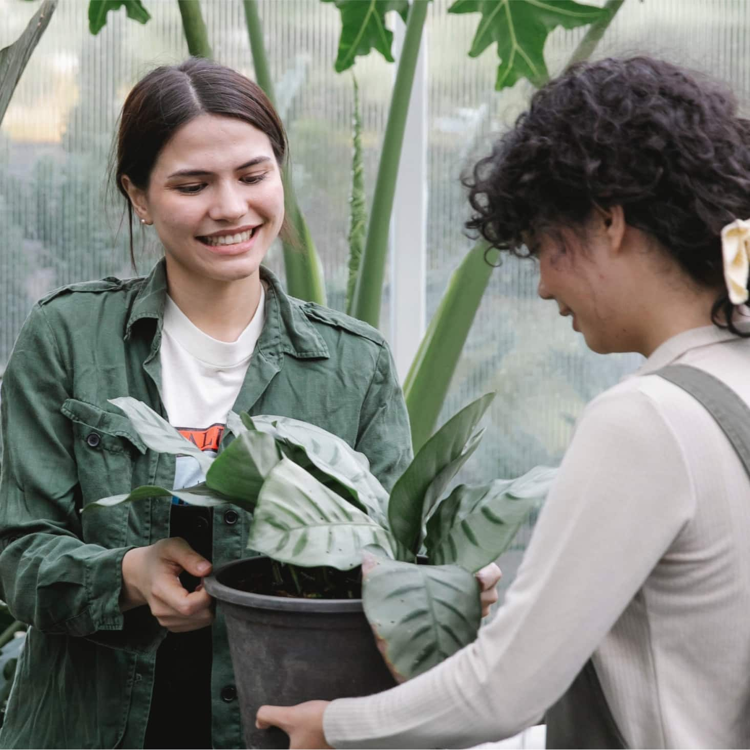 Two people carrying a plant pot together.