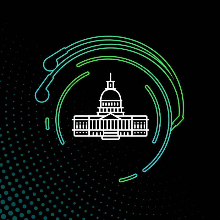 Capitol vector image decorative