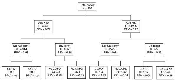 Positive predictive values (PPV) for tuberculosis of demographic and clinical factors in combination. TB, tuberculosis; COPD, chronic obstructive pulmonary disease; *9 patients missing birthplace; †45 patients missing birthplace.