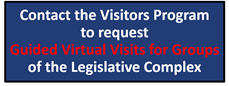 Virtual Visit Link