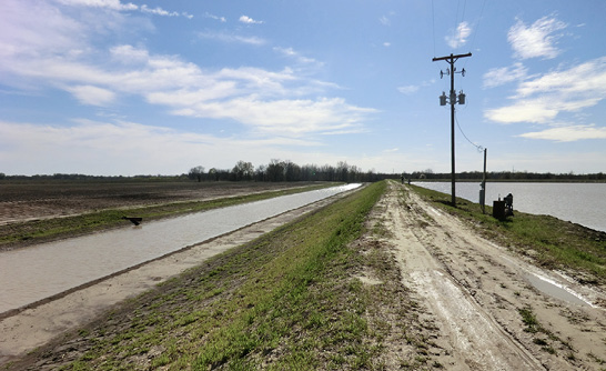 A dirt road with two bodies of water on either side. On the right side is a water storage pond. On the left side of the road is a tailwater recovery canal which is more narrow and shallow than the pond. 