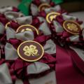 Numerous 4-H medals with maroon ribbons on a table.