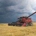 Harvesting machine in a rice field.