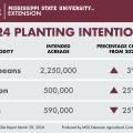 2024 planting intentions figures for Mississippi