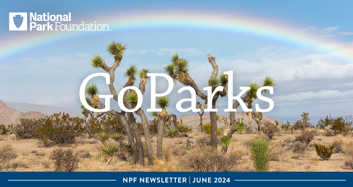 National Park Foundation, GoParks newsletter graphic image cover of a rainbow stretching across a blue sky over the desert landscape at Joshua Tree National Park