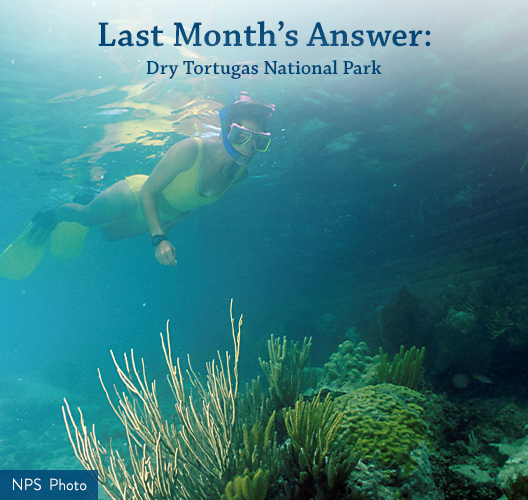 A woman scuba dives in the coral reef in Biscayne National Park