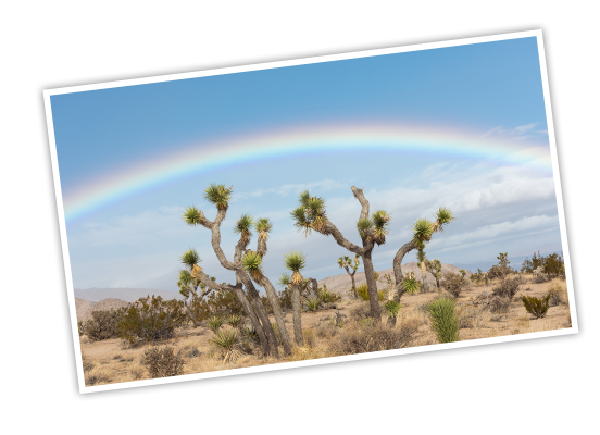A rainbow stretches across a blue sky over the desert landscape at Joshua Tree National Park
