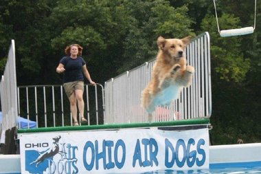 dock-diving.jpg