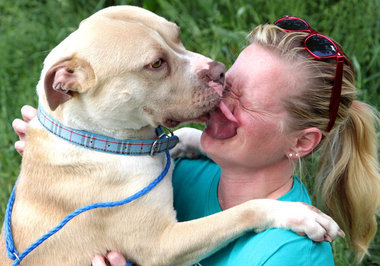 Super smooch from pit bull pooch