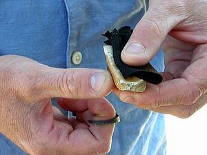 A man holding flint and piece of cloth in his hand.