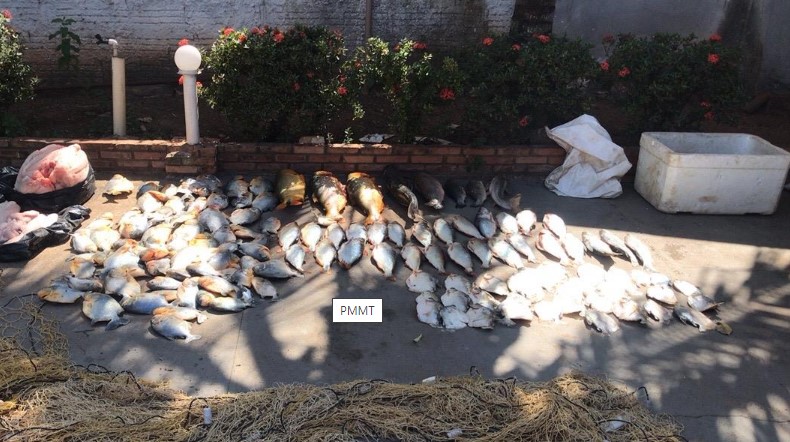 Polícia Militar e Sema apreendem 102 quilos de pescado e 33 quilos de carne de jacaré em Barão de Melgaço