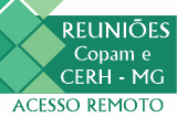 Reuniões Copam - Acesso Remoto