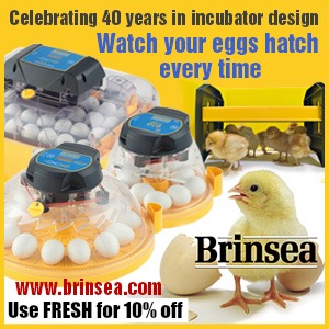 Brinsea - Your Incubation Specialists