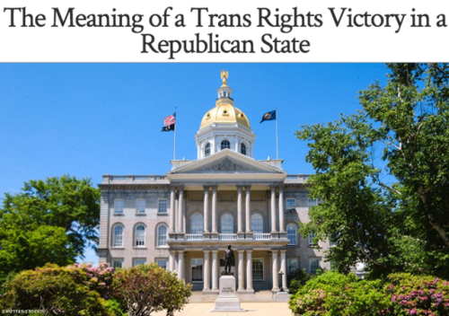 The New Hampshire win offers lessons for coming legislative battles, writes Kasey Suffredini of Freedom for All Americans.“Any day now, Republican Gov. Chris Sununu of New Hampshire will sign into law landmark legislation extending nondiscrimination...