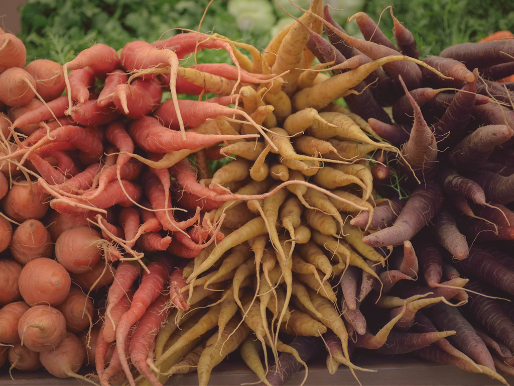 Underwood Baby Carrots