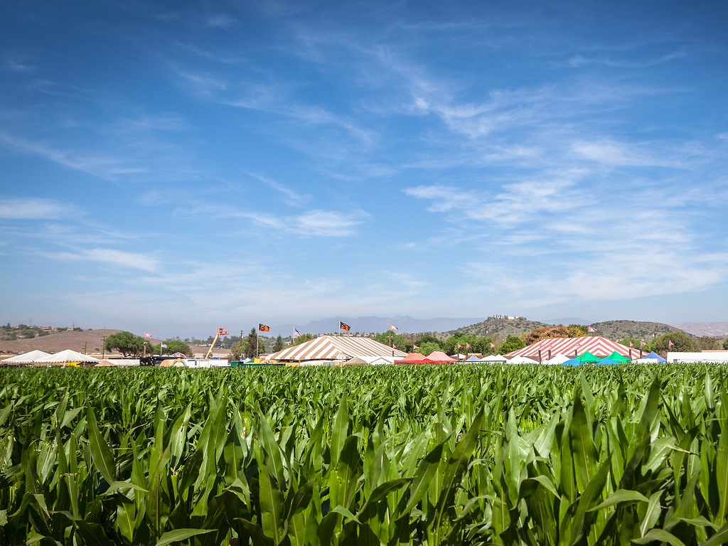 Underwood Family Farms