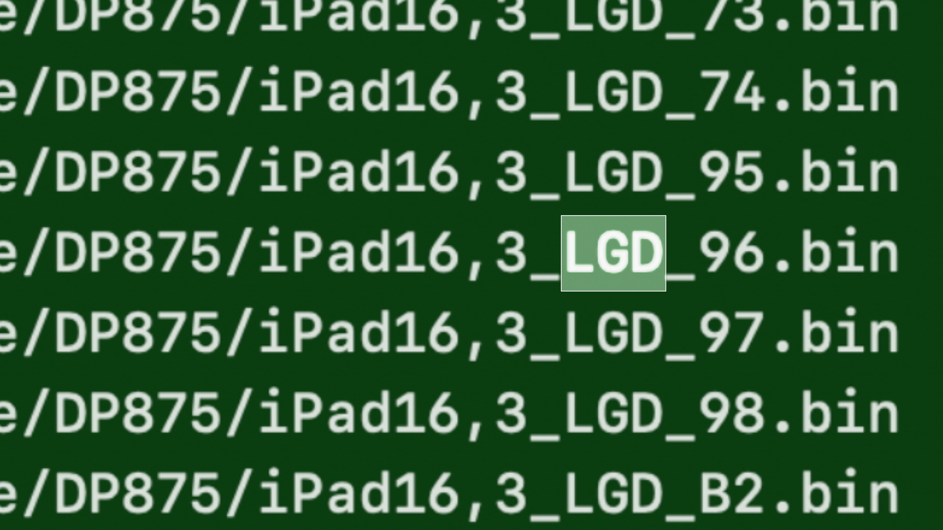 iPad Pro 2024 LGD Firmware