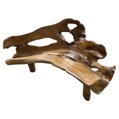 Andrianna Shamaris Sculptural Organic Teak Wood Bench