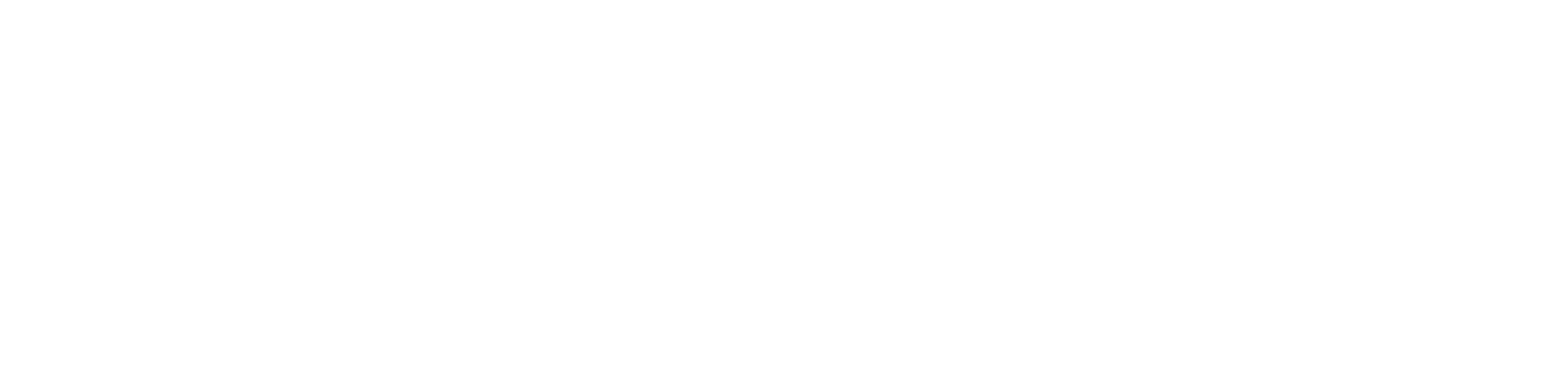 Chris Christie: Democracy 2024 logo