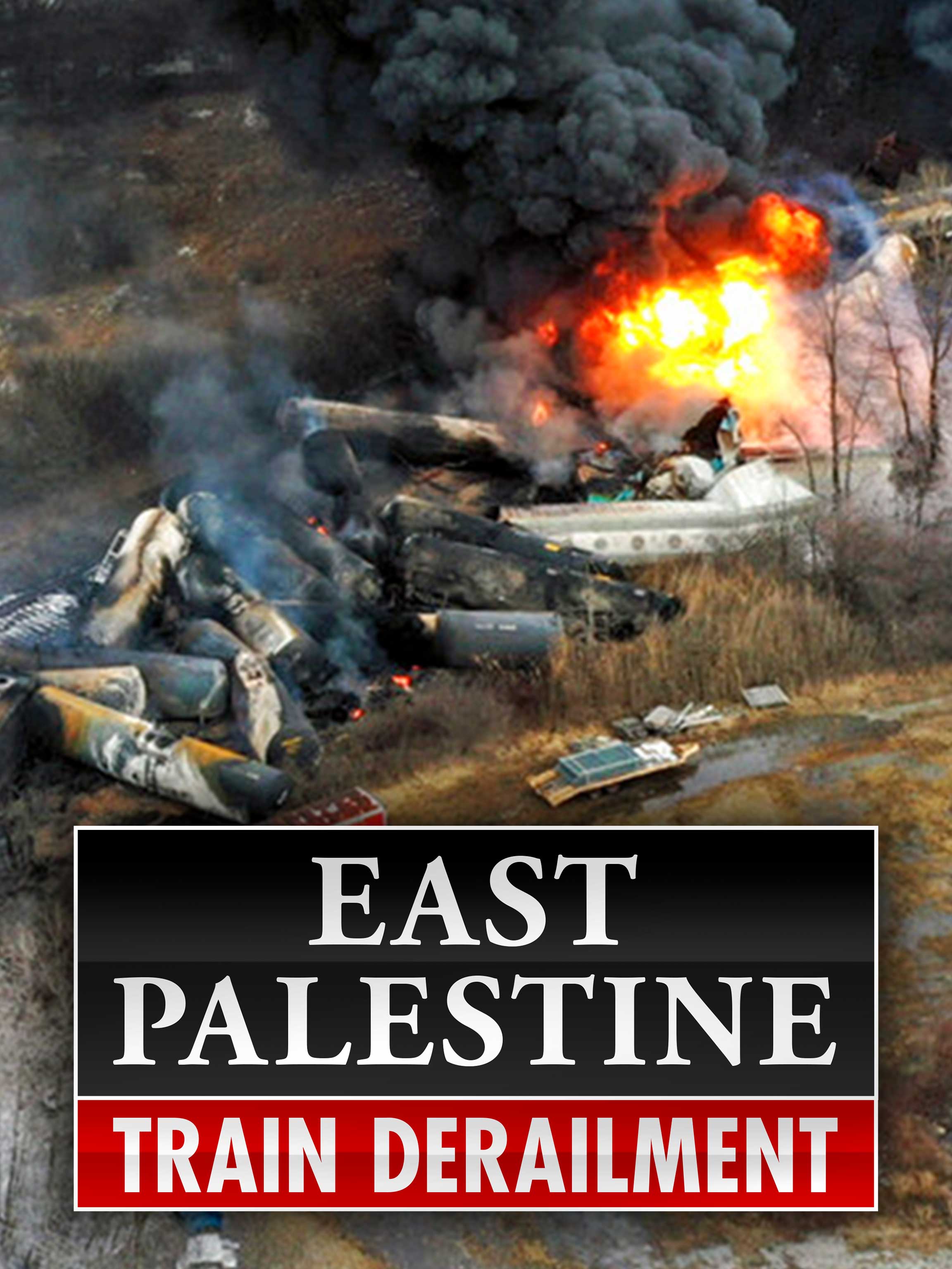 East Palestine Train Derailment dcg-mark-poster