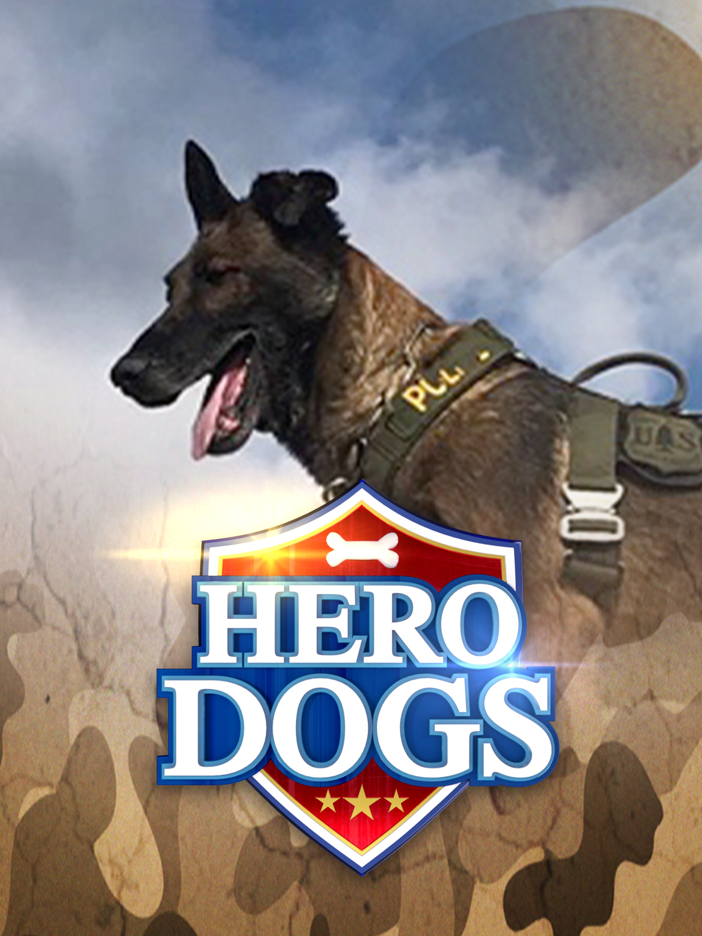 Hero Dogs dcg-mark-poster