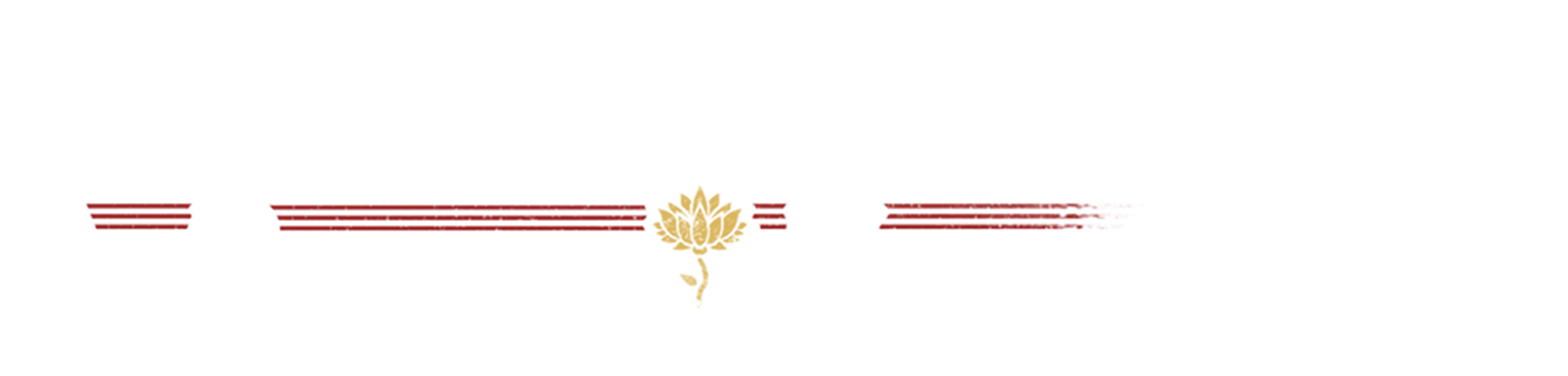 Vietnam: Rising Hope logo