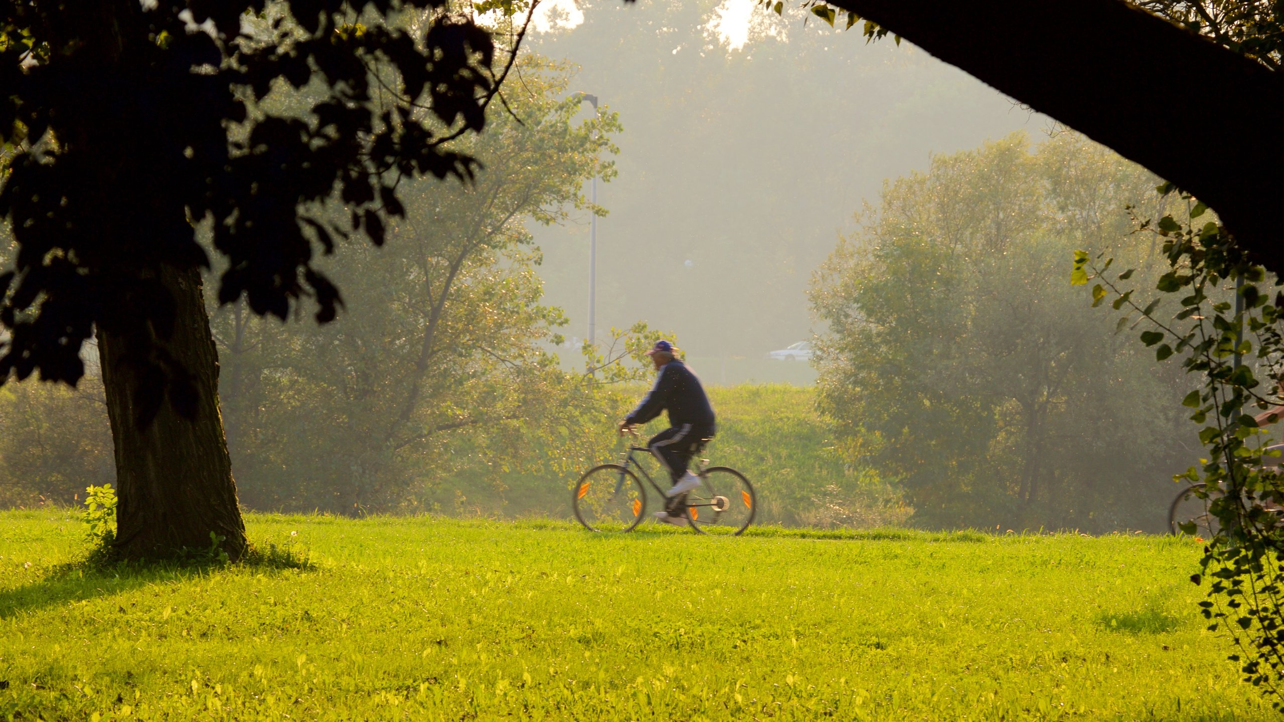 Jarun che include bicicletta e giardino