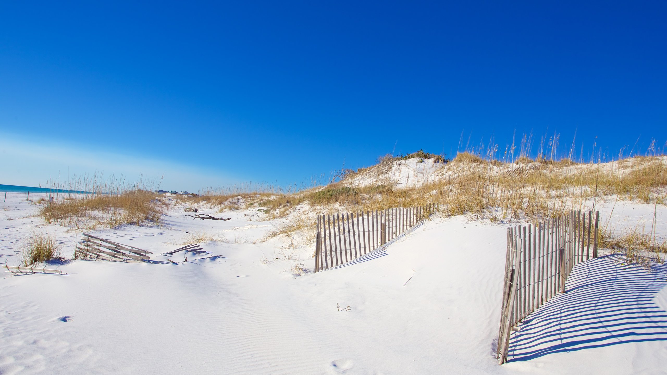 Grayton Beach State Park showing a sandy beach