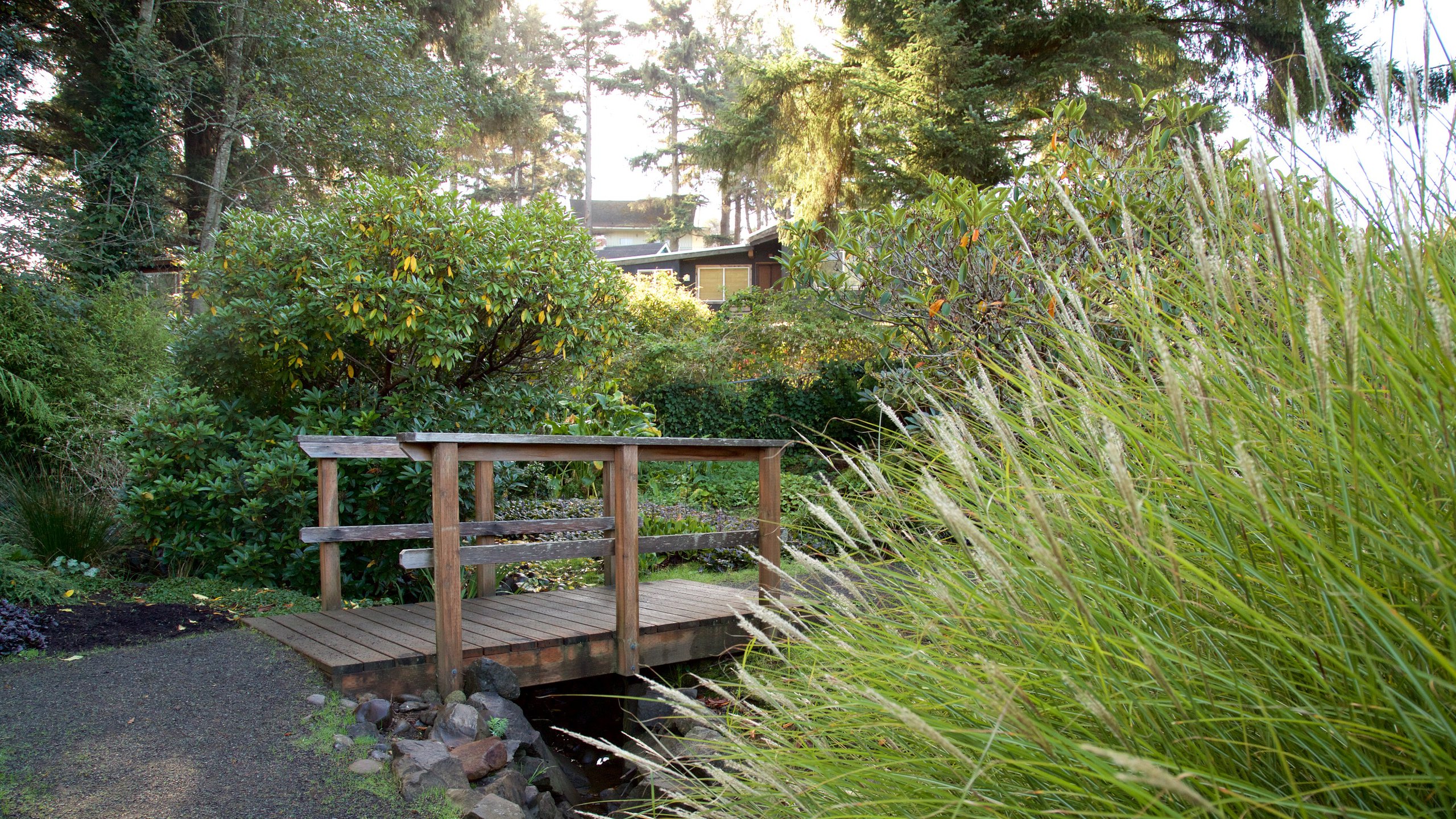 Connie Hansen Garden featuring a bridge and a park