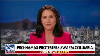 Tulsi Gabbard: 'They've gone beyond pro-Hamas'