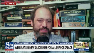 Artificial intelligence gives us reasons to be both 'excited and worried': Ethan Mollick - Fox News