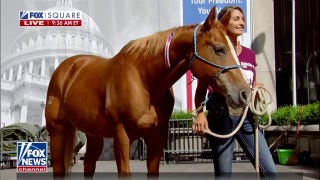 Warrior Ranch Foundation uses horses to help veterans with PTSD - Fox News