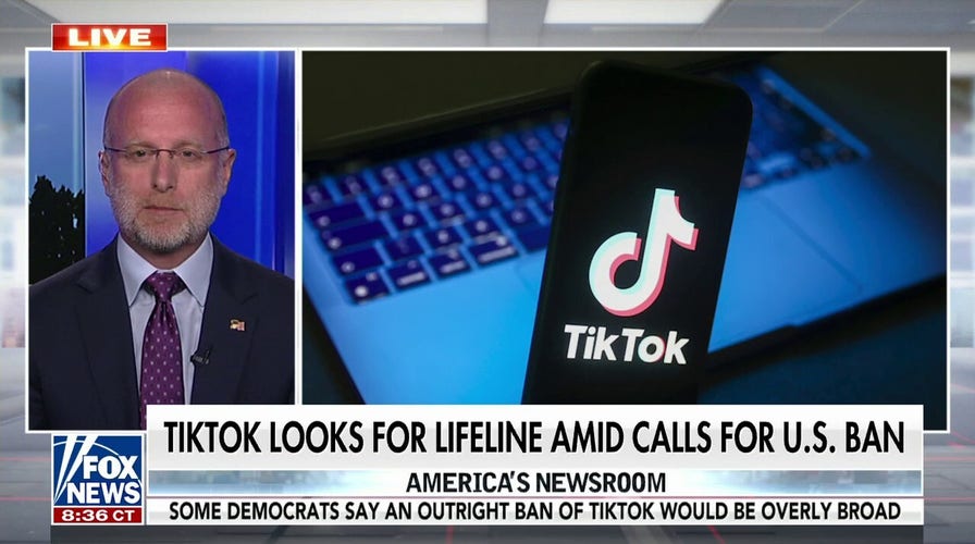 FCC commissioner calls for nationwide ban on TikTok