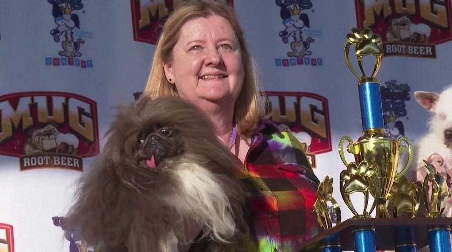 'Wild Thang' declared 'World's Ugliest Dog' at California competition