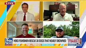 Hero fishermen rescue 38 hunting hounds that nearly drowned