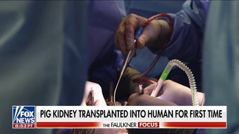 Pig kidney transplant is the ‘road to the future’: Dr. Marc Siegel