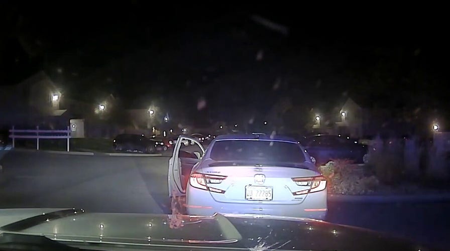 Illinois officer shot during traffic stop, police release shocking video