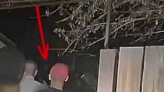  Crime scene analyst breaks down reportedly Las Vegas alien sighting video - Fox News