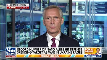 More NATO allies hitting spending targets as war in Ukraine continues