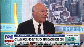 Kevin O'Leary: 'I want to make TikTok wonderful again' - Fox Business Video