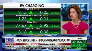 Diana Furchtgott-Roth predicts an energy crisis unless there's a change in policies under new admin - Fox Business Video