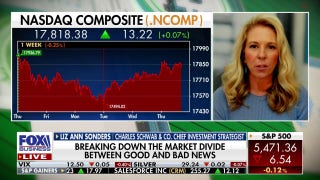 2024 is a tale of two stock markets: Liz Ann Sonders - Fox Business Video