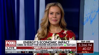  The US is going to see a decline in consumer spending: Erin Gibbs - Fox Business Video
