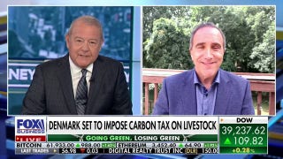 Idea of transitioning energy to solar and wind is a ‘nonstarter’: Marc Morano - Fox Business Video