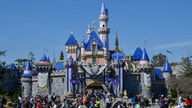 Disneyland replaces lamp posts after heavy light fixture toppled onto guests: report