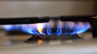 California, New York and Illinois consider applying warning labels to gas stoves