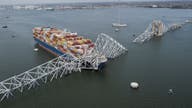 Baltimore port closure may hit US coal export volumes