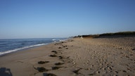 Billionaire forced to demolish Nantucket beach home